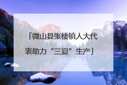 微山县张楼镇人大代表助力“三夏”生产
