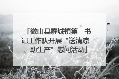 微山县驩城镇第一书记工作队开展“送清凉、助生产”慰问活动
