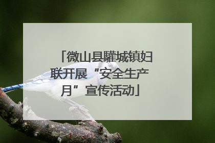 微山县驩城镇妇联开展“安全生产月”宣传活动