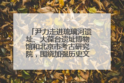 尹力走进琉璃河遗址、大葆台遗址博物馆和北京市考古研究院，围绕加强历史文化名城保护调研