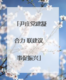 尹庄党建凝合力 联建议事促振兴