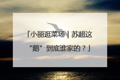 小丽逛菜场｜苏超这“鹅”到底谁家的？