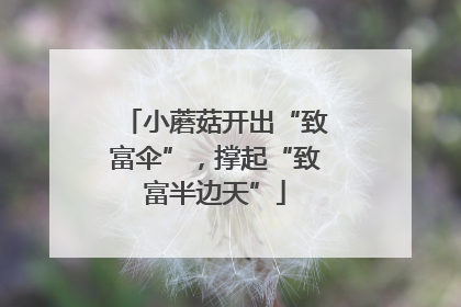 小蘑菇开出“致富伞”，撑起“致富半边天”