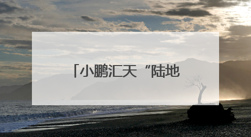 小鹏汇天“陆地航母”飞行体生产许可证（PC）申请获局方受理