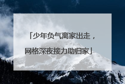 少年负气离家出走，网格深夜接力助归家