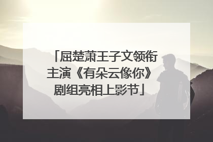 屈楚萧王子文领衔主演《有朵云像你》剧组亮相上影节