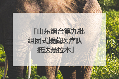 山东烟台第九批组团式援藏医疗队抵达聂拉木