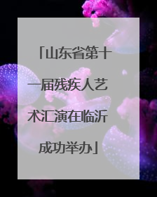 山东省第十一届残疾人艺术汇演在临沂成功举办