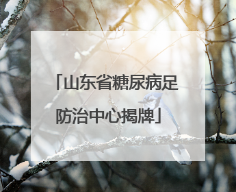 山东省糖尿病足防治中心揭牌