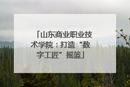 山东商业职业技术学院：打造“数字工匠”摇篮