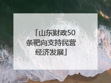 山东财政50条靶向支持民营经济发展
