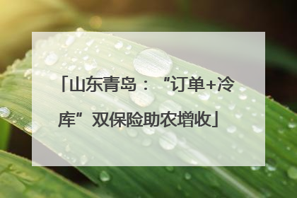 山东青岛：“订单+冷库”双保险助农增收
