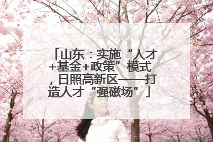 山东：实施“人才+基金+政策”模式，日照高新区——打造人才“强磁场”