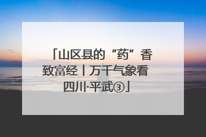 山区县的“药”香致富经丨万千气象看四川·平武③