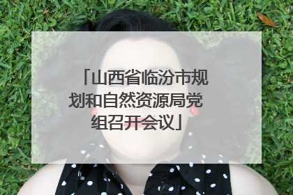 山西省临汾市规划和自然资源局党组召开会议