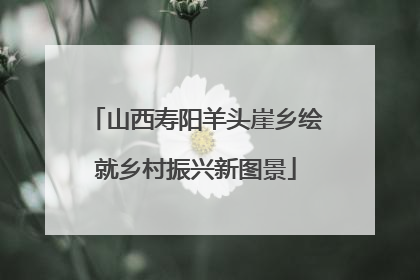 山西寿阳羊头崖乡绘就乡村振兴新图景