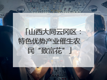 山西大同云冈区：特色优势产业催生农民“致富花”
