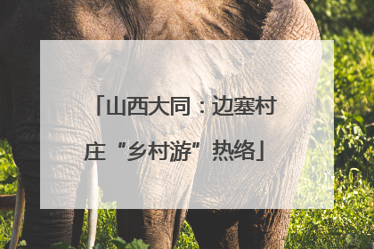 山西大同：边塞村庄“乡村游”热络