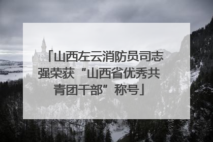 山西左云消防员司志强荣获“山西省优秀共青团干部”称号