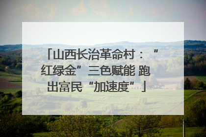 山西长治革命村：“红绿金”三色赋能 跑出富民“加速度”