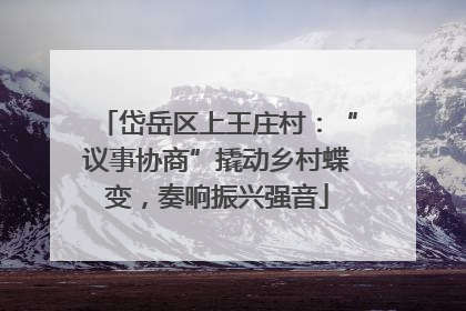 岱岳区上王庄村：“议事协商”撬动乡村蝶变，奏响振兴强音