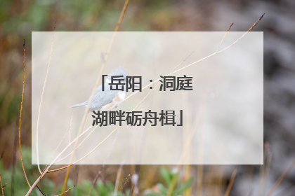岳阳：洞庭湖畔砺舟楫