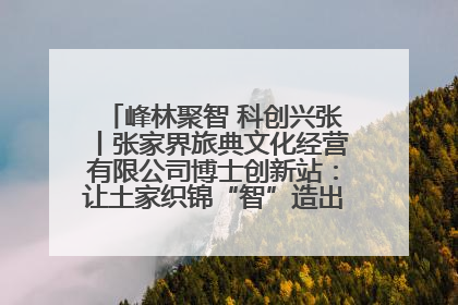 峰林聚智 科创兴张丨张家界旅典文化经营有限公司博士创新站：让土家织锦“智”造出非遗新传奇