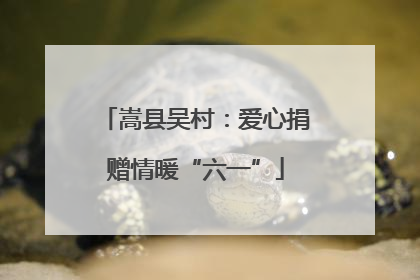 嵩县吴村：爱心捐赠情暖“六一”