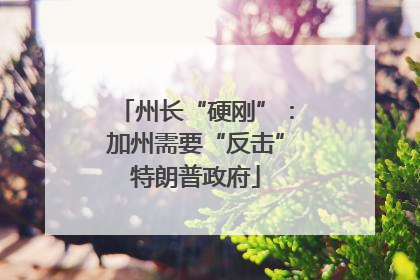 州长“硬刚”：加州需要“反击”特朗普政府