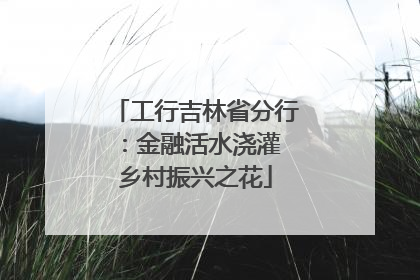 工行吉林省分行：金融活水浇灌 乡村振兴之花