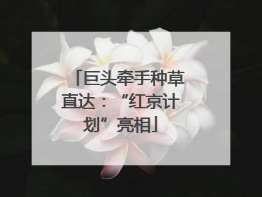 巨头牵手种草直达：“红京计划”亮相