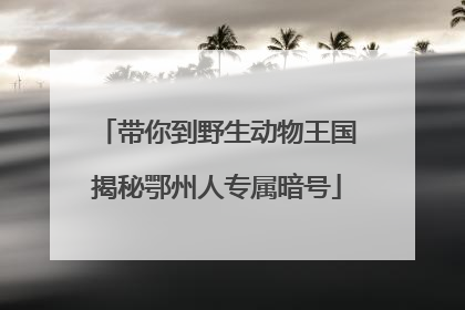 带你到野生动物王国揭秘鄂州人专属暗号