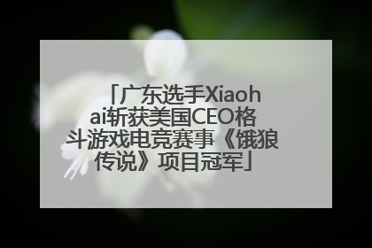 广东选手Xiaohai斩获美国CEO格斗游戏电竞赛事《饿狼传说》项目冠军