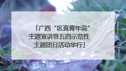 广西“区直青年说”主题宣讲暨五四示范性主题团日活动举行
