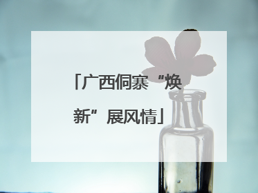 广西侗寨“焕新”展风情