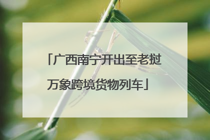 广西南宁开出至老挝万象跨境货物列车