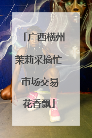 广西横州茉莉采摘忙 市场交易花香飘
