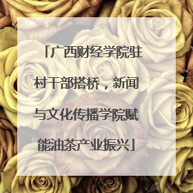 广西财经学院驻村干部搭桥，新闻与文化传播学院赋能油茶产业振兴