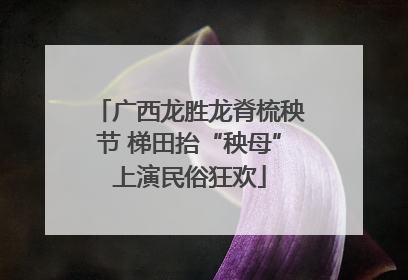 广西龙胜龙脊梳秧节 梯田抬“秧母”上演民俗狂欢