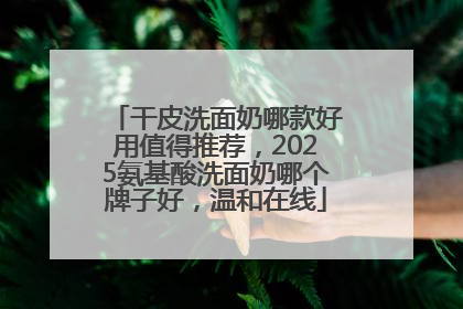 干皮洗面奶哪款好用值得推荐，2025氨基酸洗面奶哪个牌子好，温和在线