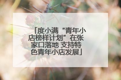度小满“青年小店榜样计划”在张家口落地 支持特色青年小店发展