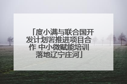 度小满与联合国开发计划署推进项目合作 中小微赋能培训落地辽宁庄河