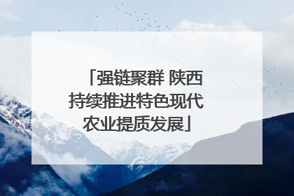 强链聚群 陕西持续推进特色现代农业提质发展