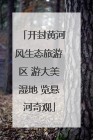 开封黄河风生态旅游区 游大美湿地 览悬河奇观