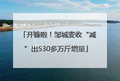 开镰啦！邹城麦收“减”出530多万斤增量