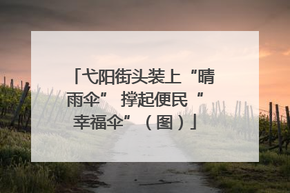 弋阳街头装上“晴雨伞” 撑起便民“幸福伞”（图）