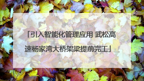引入智能化管理应用 武松高速杨家湾大桥架梁提前完工