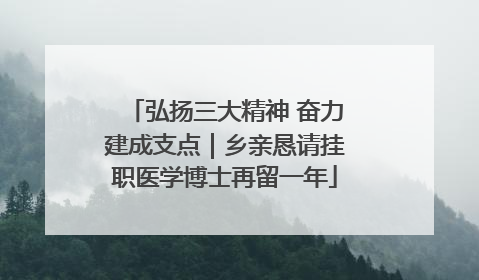 弘扬三大精神 奋力建成支点｜乡亲恳请挂职医学博士再留一年