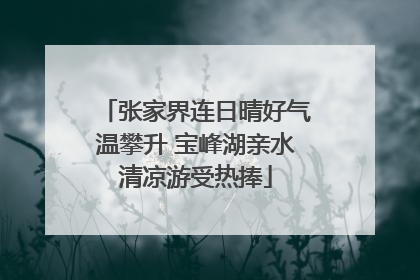 张家界连日晴好气温攀升 宝峰湖亲水清凉游受热捧