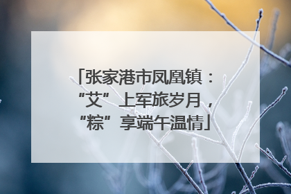 张家港市凤凰镇：“艾”上军旅岁月，“粽”享端午温情